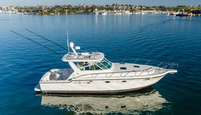 Bluefin For Sale image3