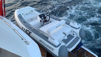 ICE For Sale image12