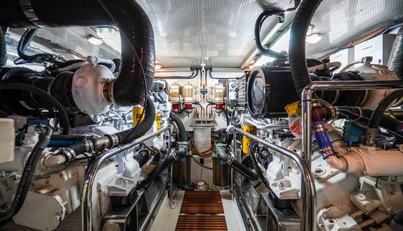 THE GARLIC For Sale image41