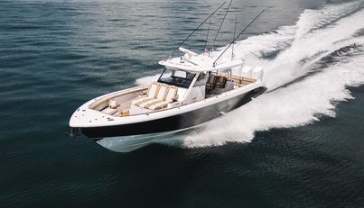 SHINE V For Sale image16