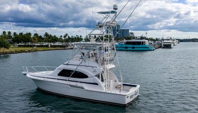 VET BILLZ For Sale image41