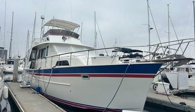 Day Light For Sale image1