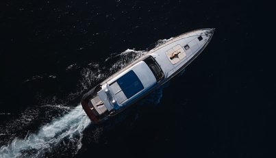 Zazzazu For Sale image6