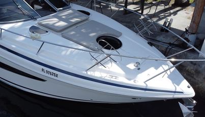 Panacea For Sale image6