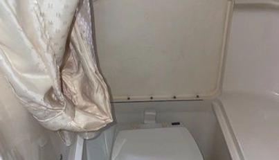 SEAHORSE For Sale image21