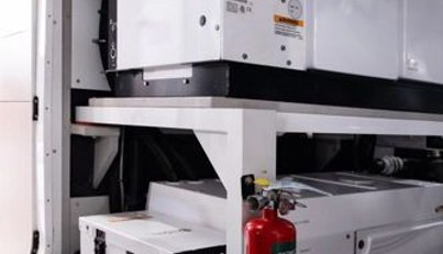 Chinonino For Sale image80