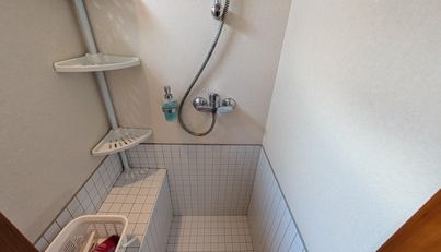 Lady Emily For Sale image14