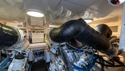 Miss Ella Maye For Sale image98