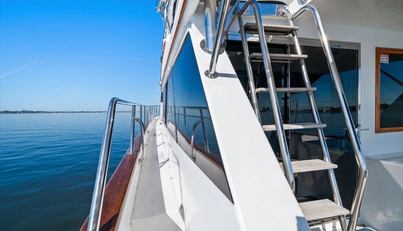 The Cotton Picker For Sale image14