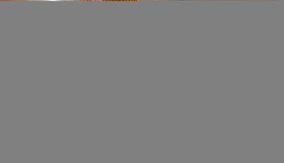 Commodore One For Sale image103