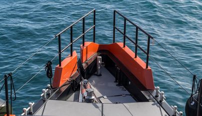 VANGUARD For Sale image33