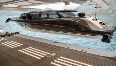Pelorus For Sale image26