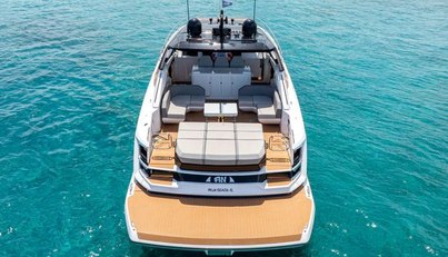 Fin For Sale image18