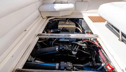 Sea Oddity For Sale image25