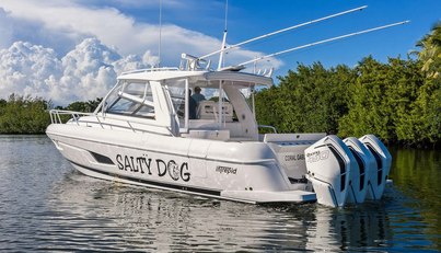 Salty Dog For Sale image5