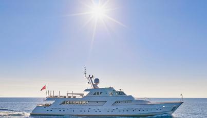 MADAME THELMA For Sale image42