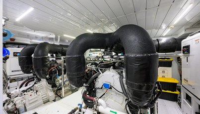 PHOENIX For Sale image138