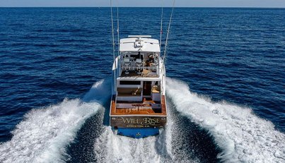 noname For Sale image14