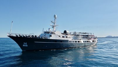 VOYAGER For Sale image6