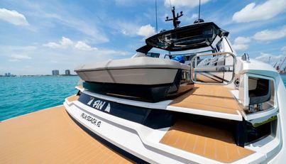 Fin For Sale image37