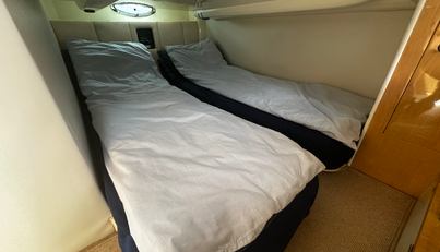 Alisma For Sale image35