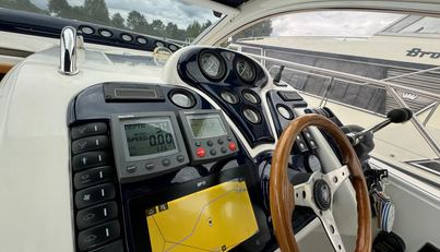 Dancing Bear For Sale image17