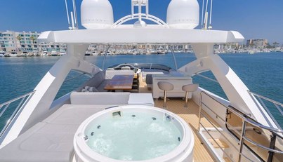 Indecent Proposal IV For Sale image31