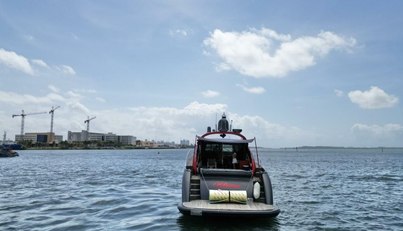 Notorius For Sale image9