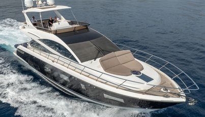 Luna of Chester For Sale image35