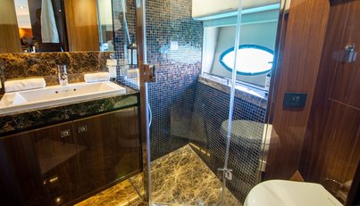 Sea Wolf For Sale image27