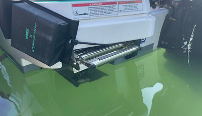 MUSTARD CUTTER For Sale image35