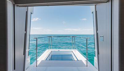 Half Irish For Sale image22