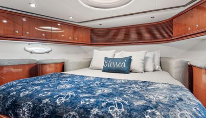 Blue Steel For Sale image18