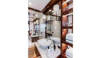 PAPILLON For Sale image9