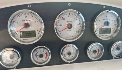 Moonlight Lady For Sale image5