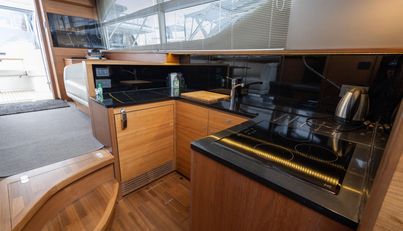 Artemis For Sale image65