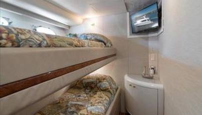 Octopi For Sale image131