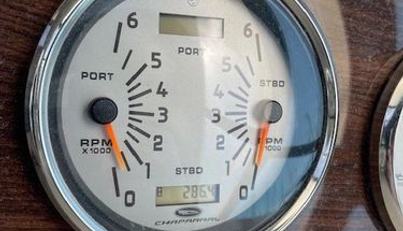 SEAHORSE For Sale image9