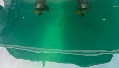 White Pearl For Sale image4