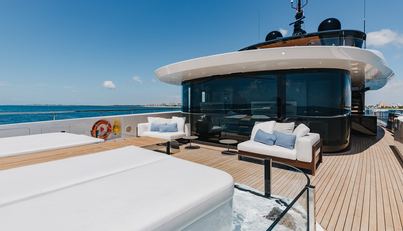 Half Irish For Sale image54