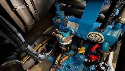 Lady Zette For Sale image25