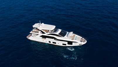 ANA For Sale image30