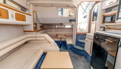 Sea Oddity For Sale image20