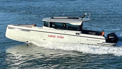 Gee Wiz For Sale image1