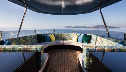 KING BENJI For Sale image8