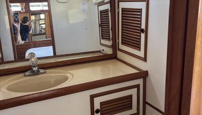 Day Light For Sale image42