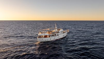 SULTANA For Sale image5