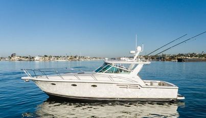 Bluefin For Sale image2