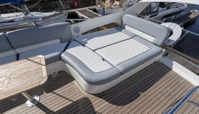 Silver Fox For Sale image28