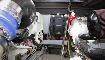 Baby Pie For Sale image58